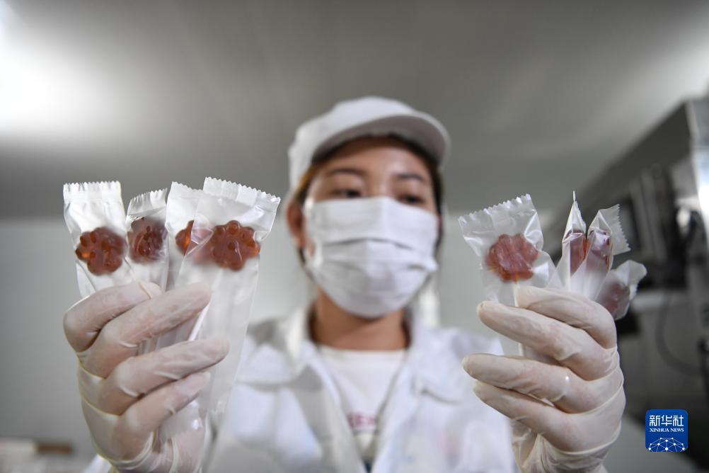 银河在线游戏大全